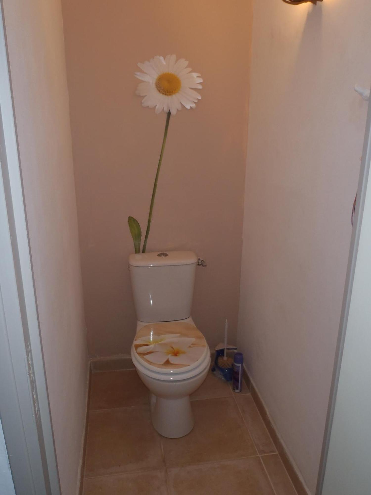 Les Chevrefeuilles Apartment Manosque Cameră foto